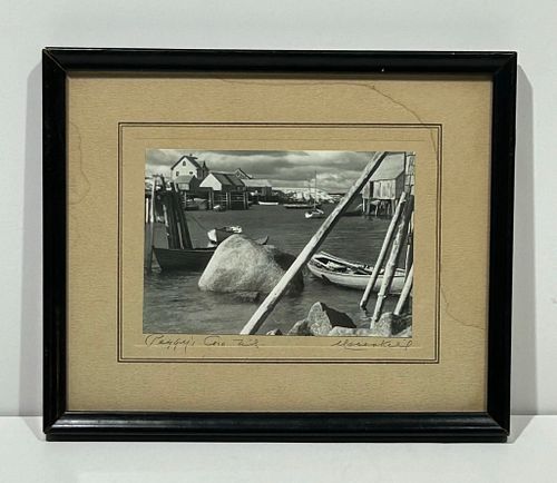 Lot #50 (1 of 14)