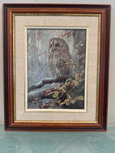 Lot #67 (1 of 3)