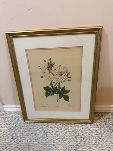 Lot #36 (1 of 5)