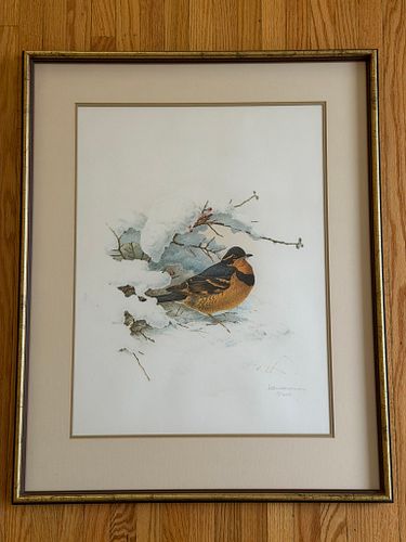 Lot #367 (1 of 8)
