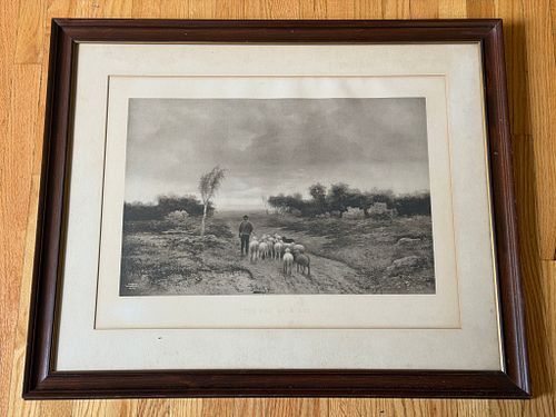 Lot #427 (1 of 12)