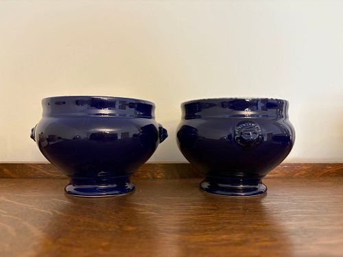 Lot #458 (1 of 6)