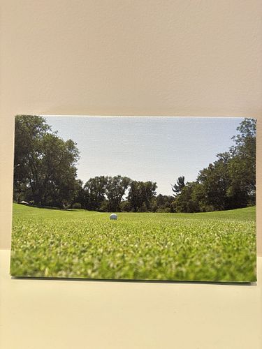 Lot #37 (1 of 3)