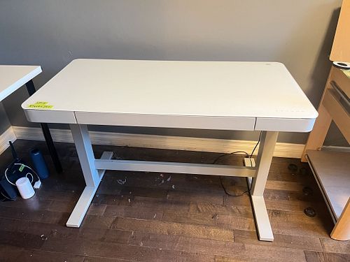 Lot #8 (1 of 13)