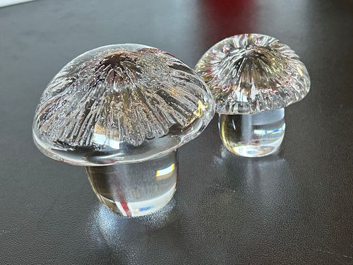Lot #35 (1 of 20)