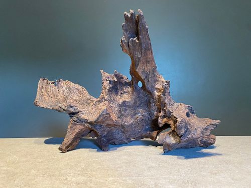 Lot #56 (1 of 9)