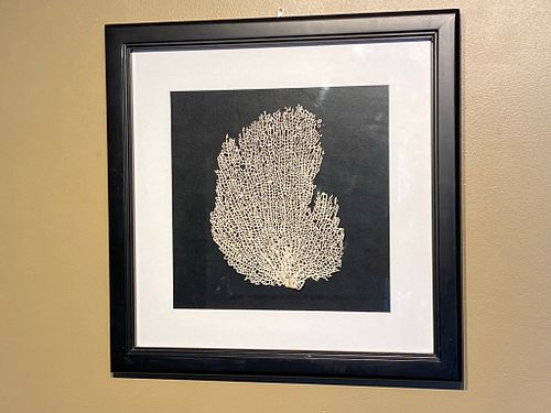 Lot #62 (1 of 7)