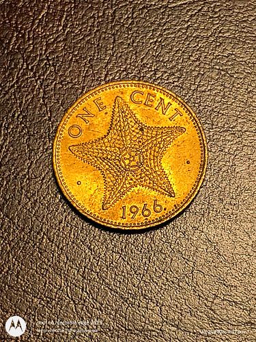 Lot #16 (1 of 4)