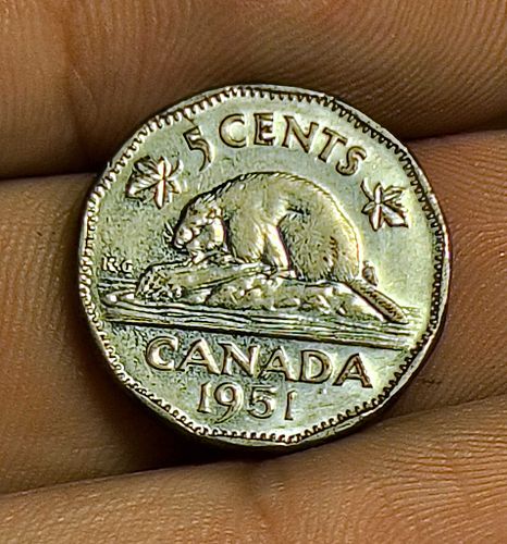 Lot #43 (1 of 4)