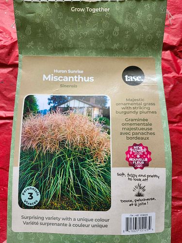 Lot #55 (1 of 4)