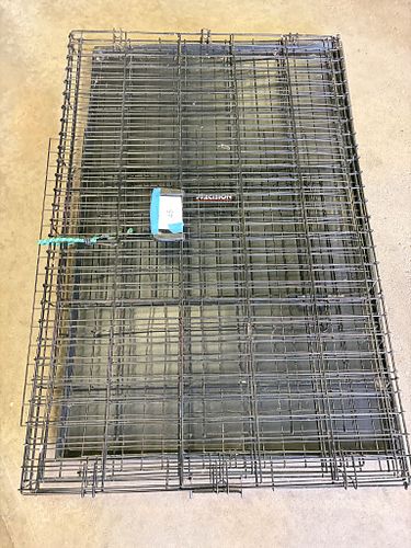 Lot #45 (1 of 5)