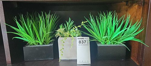 Lot #837 (1 of 5)