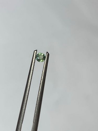 Lot #7 (1 of 4)