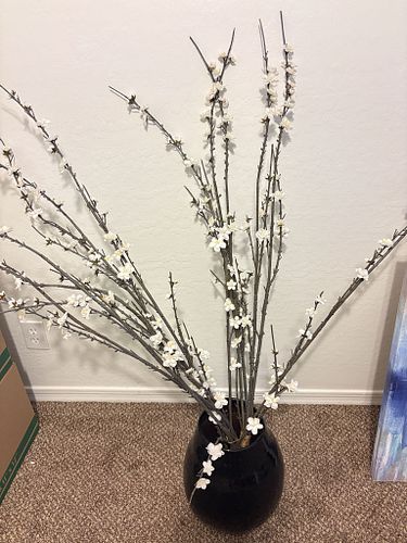 Lot #13 (1 of 14)