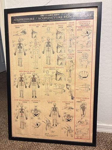 Lot #20 (1 of 8)
