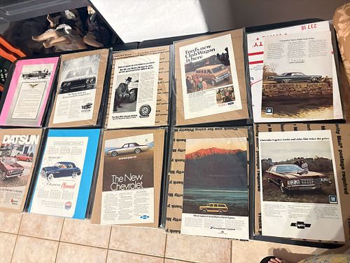 Lot #41 (1 of 20)