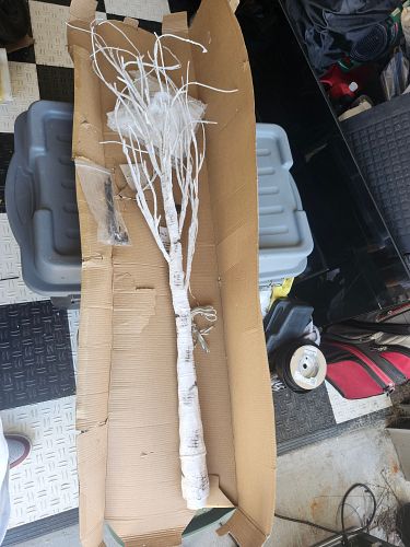Lot #30 (1 of 5)