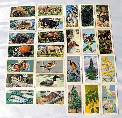 Lot #58 (1 of 15)