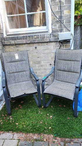 Lot #355 (1 of 11)