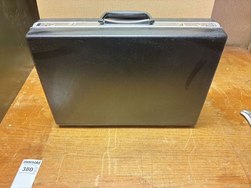 Lot #380 (1 of 8)