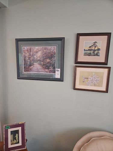 Lot #791 (1 of 20)