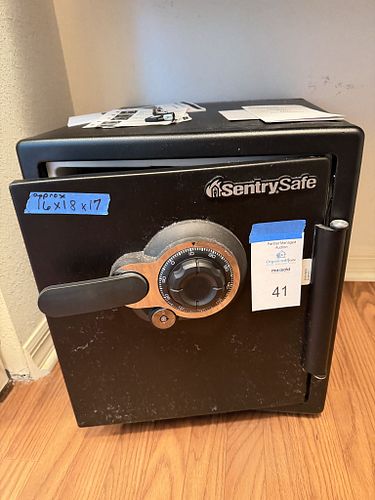Lot #41 (1 of 10)