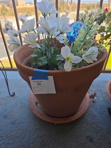 Lot #23 (1 of 4)