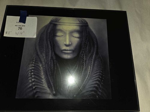 Lot #76 (1 of 5)
