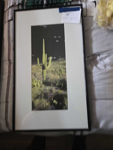 Lot #47 (1 of 11)