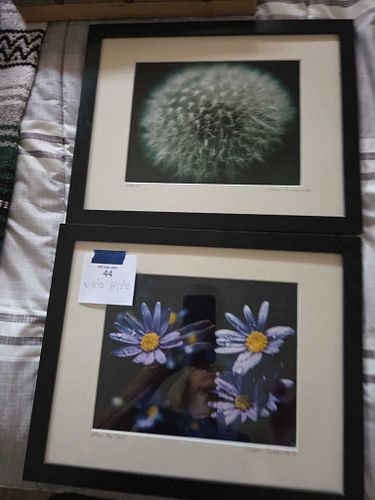 Lot #44 (1 of 12)