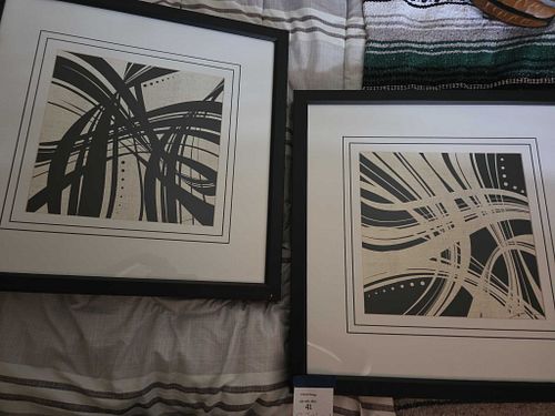 Lot #41 (1 of 12)