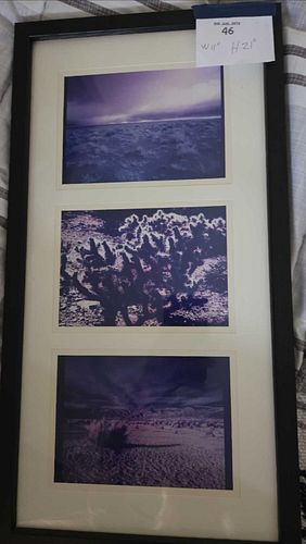 Lot #46 (1 of 9)