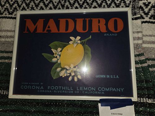 Lot #40 (1 of 8)