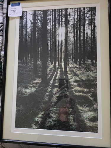 Lot #54 (1 of 8)