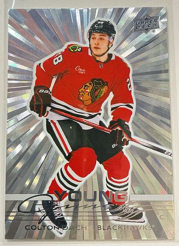 Lot #10 (1 of 6)
