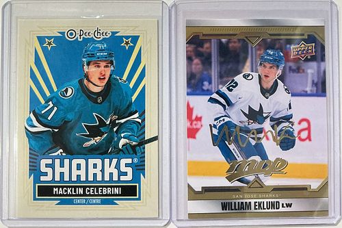 Lot #21 (1 of 12)
