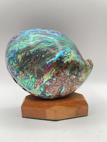 Lot #41 (1 of 11)