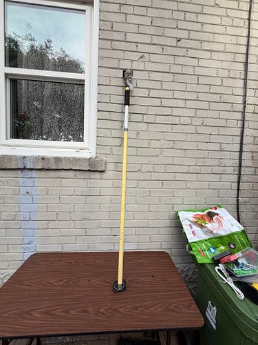 Lot #64 (1 of 5)