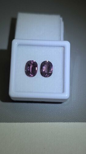 Lot #21 (1 of 13)