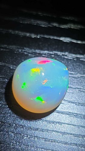 Lot #41 (1 of 14)