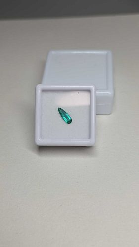 Lot #48 (1 of 8)