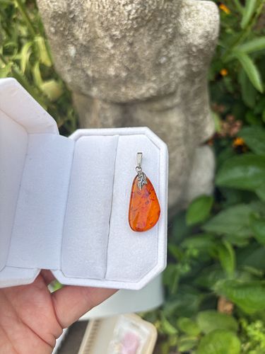 Lot #65 (1 of 8)