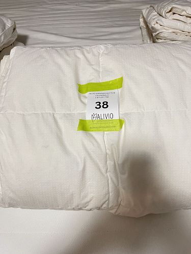 Lot #38 (1 of 2)