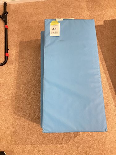Lot #48 (1 of 4)
