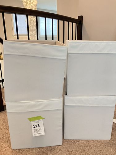 Lot #113 (1 of 3)