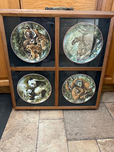 Lot #8 (1 of 6)