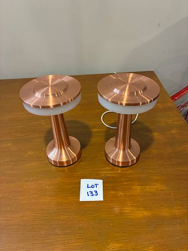 Lot #133 (1 of 3)