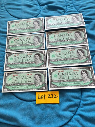 Lot #232 (1 of 9)