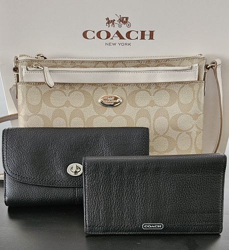 Lot #123 (1 of 11)