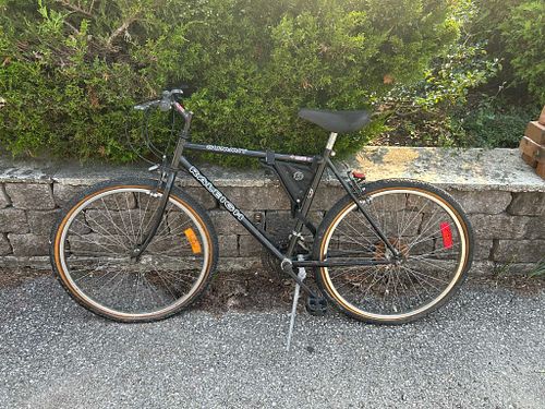 Lot #46 (1 of 3)
